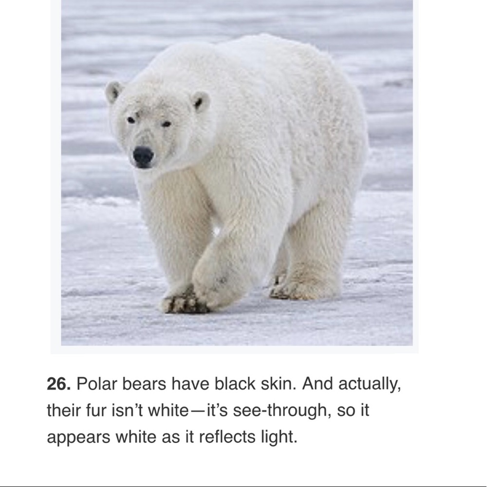 🐿# 2 Like NEW FOLLOW GAME-listing #3 🐿 - Picture 4 of 16